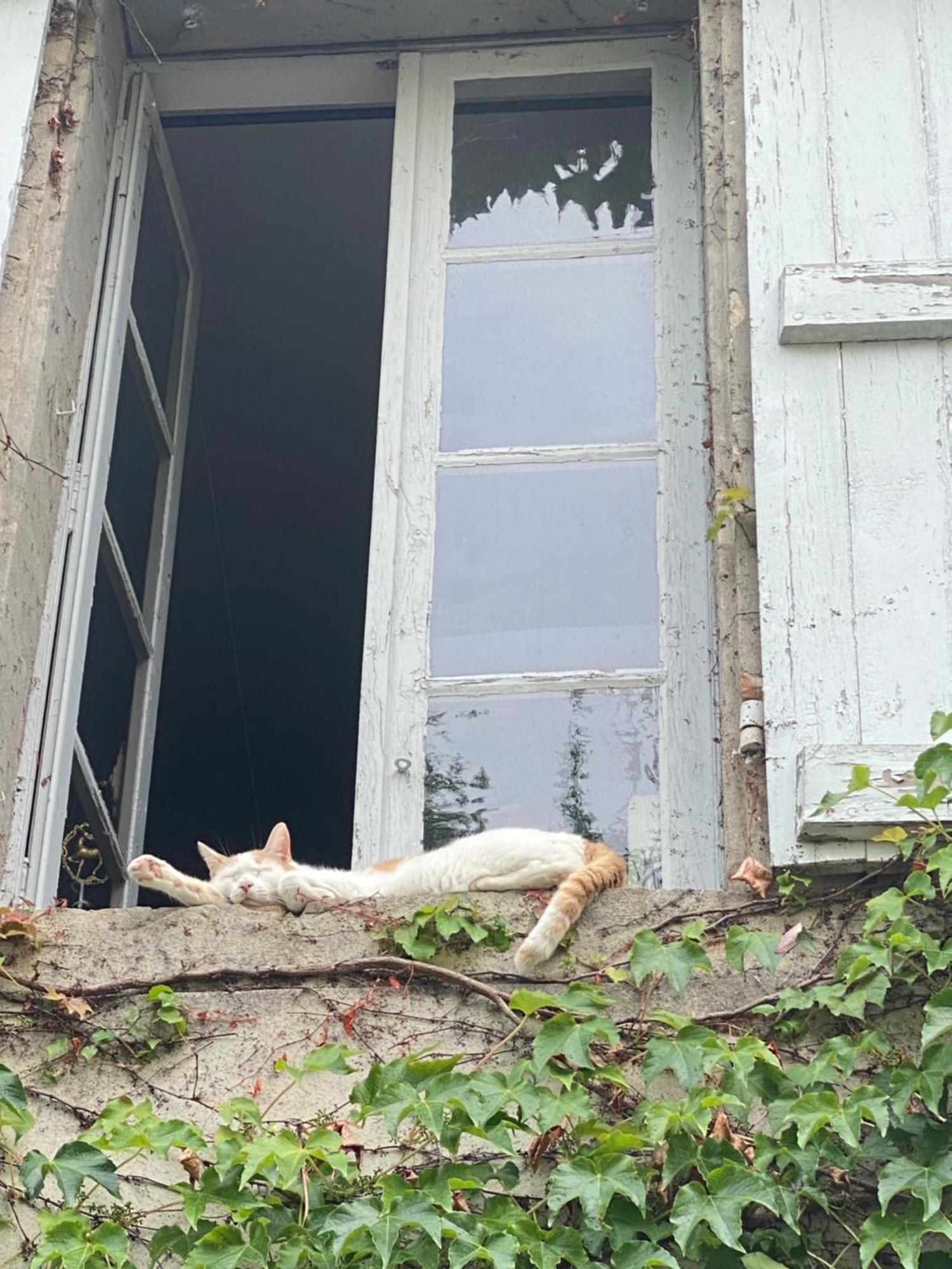 Au Jardin Y Bed & Breakfast Moissac Dış mekan fotoğraf